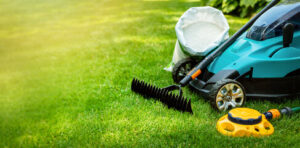 Lawn Maintenance